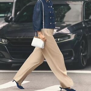 Ann Taylor The Petite Pleated Wide Leg Pant 6P